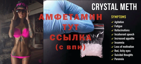 ПСИЛОЦИБИНОВЫЕ ГРИБЫ Абаза