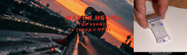 дживик Абинск