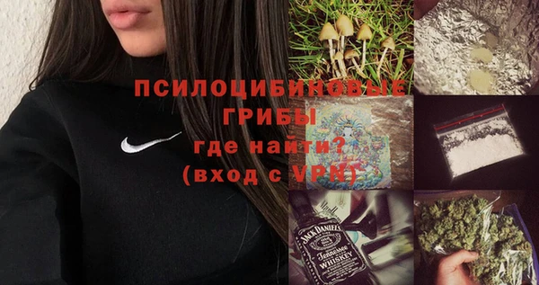 дживик Абинск