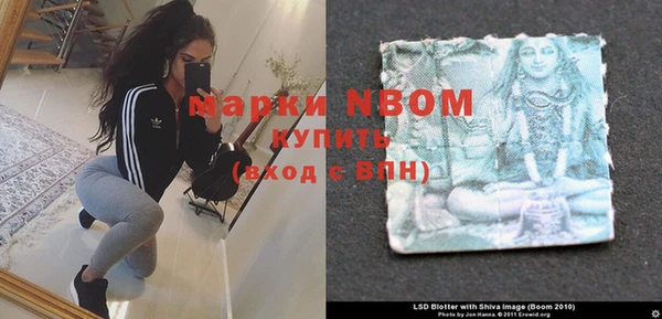 ПСИЛОЦИБИНОВЫЕ ГРИБЫ Абаза