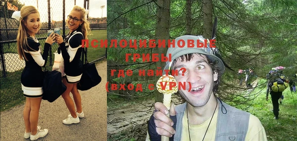 дживик Абинск