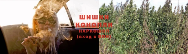 дживик Абинск