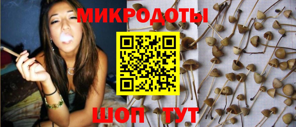 Каменка  Галлюциногенные грибы ЛСД  Вход с VPN  Псилоцибиновые грибы мицелий 