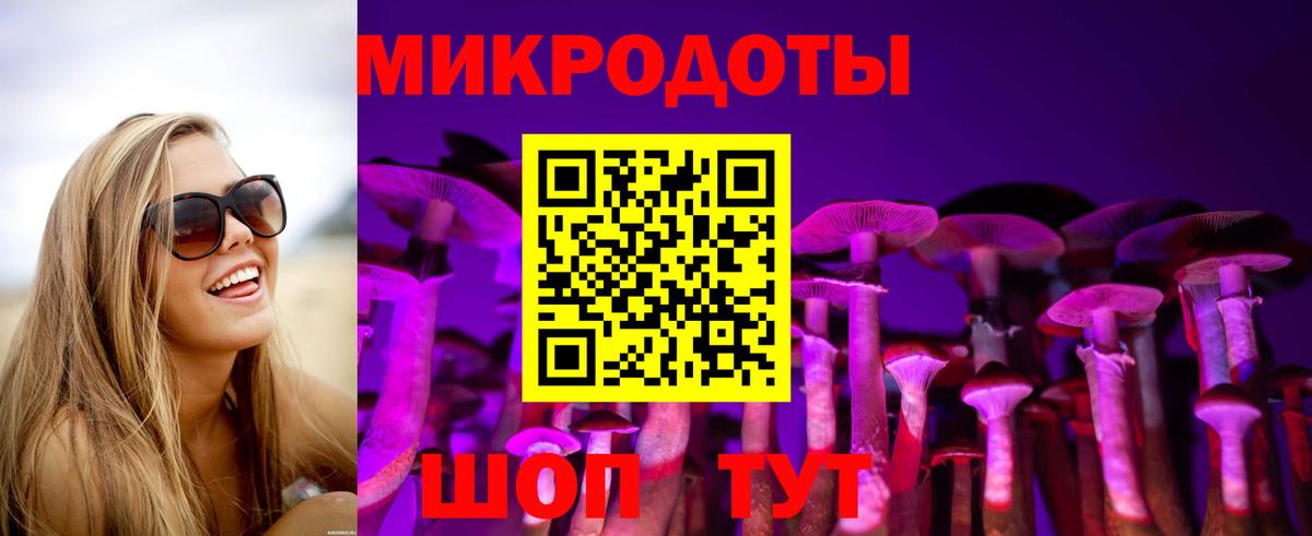 Псилоцибиновые грибы мухоморы Каменка