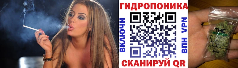 Конопля MAZAR Каменка